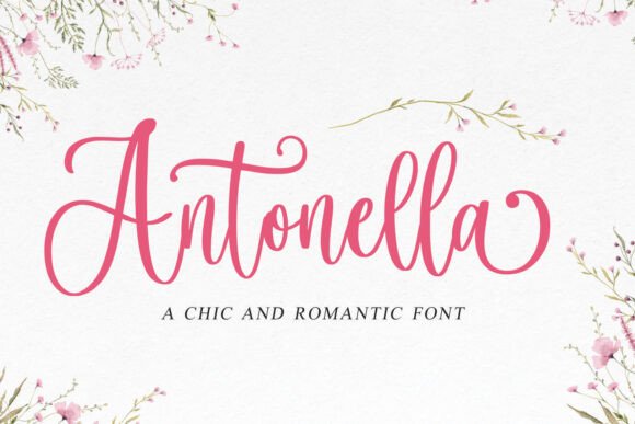 Elevate Your Digital Campaigns with the Antonella Script Font
